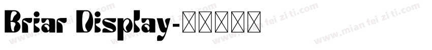 Briar Display字体转换